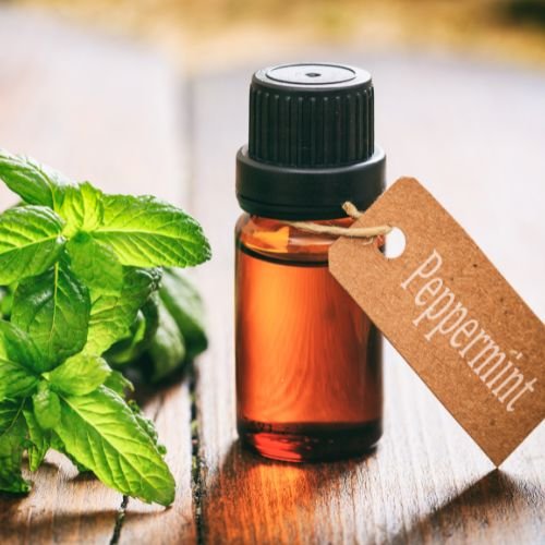 Peppermint Oil