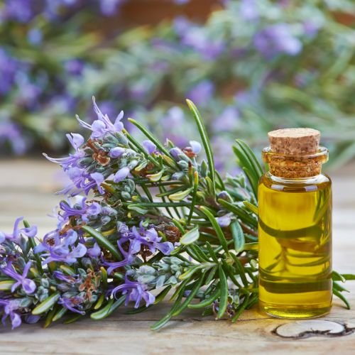 Rosemary Oil