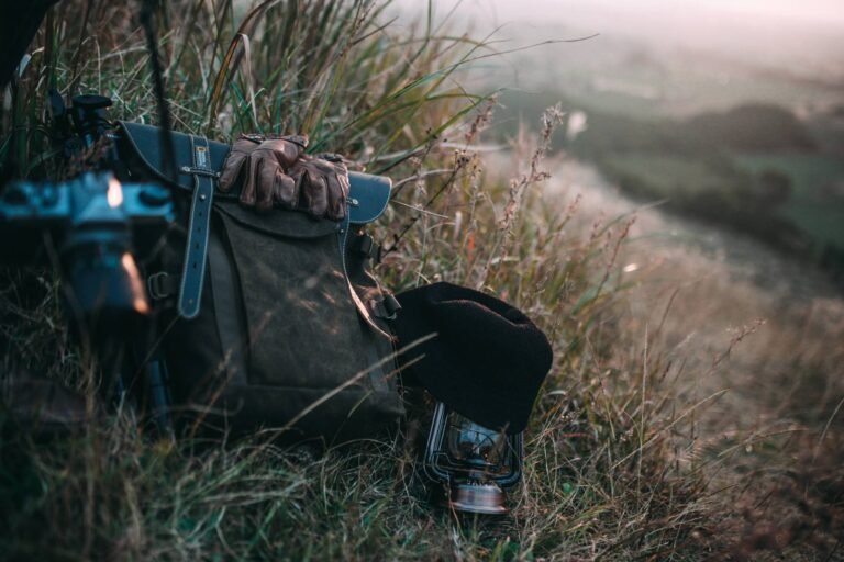 5 Grooming Tools a Dog Parent Must Have