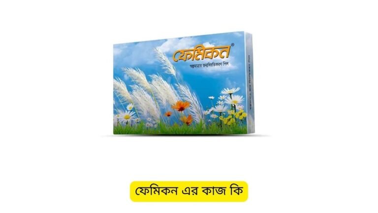 ফেমিকন এর কাজ কি